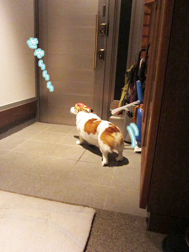 逃げる鬼犬