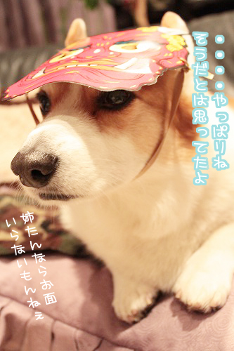 やっぱりね