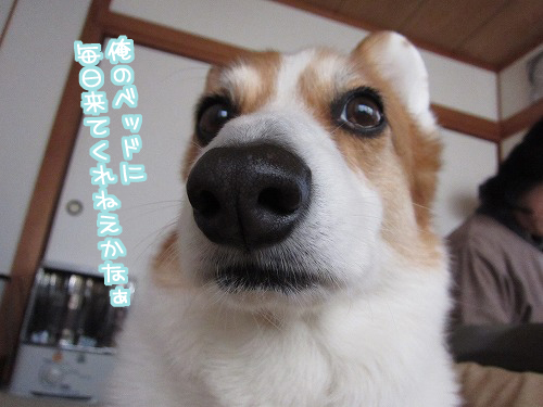 来ないでしょうねぇ~