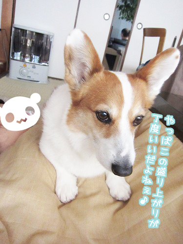 この盛り上がりが