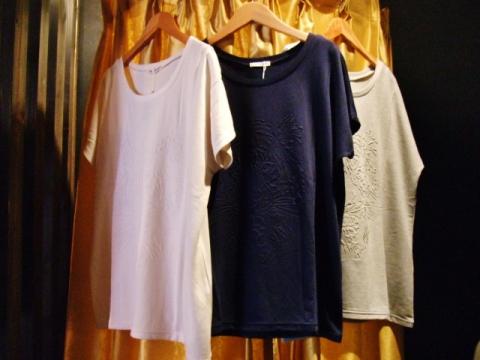 BLOG8455.jpg