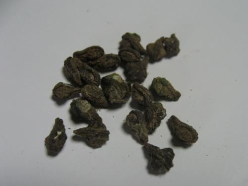 IMG_3173_20120216200414.jpg