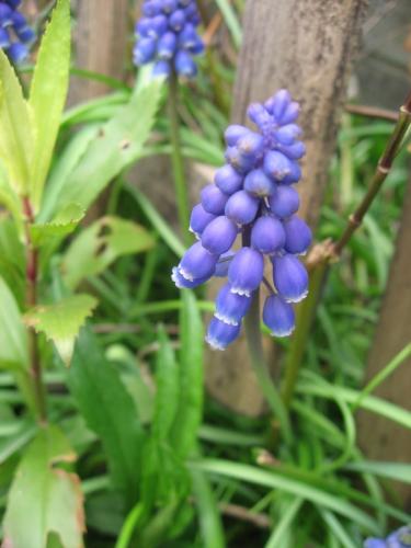 IMG_3616.jpg
