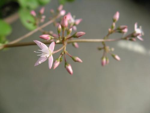 IMG_3898.jpg