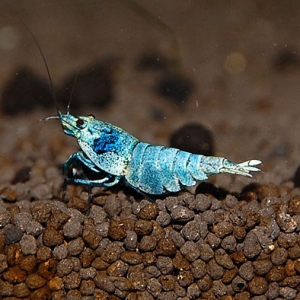 12_2014091723435465f.jpg