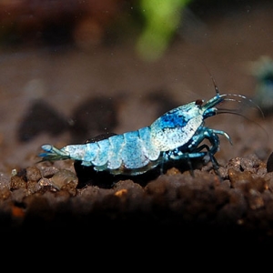 14_20140917234356ac6.jpg