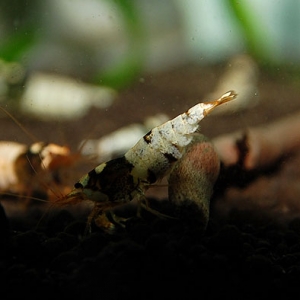 1_201410042148185fa.jpg