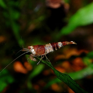 2_20140920230133f26.jpg