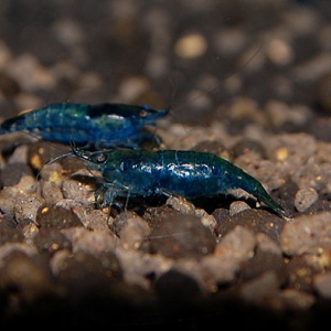 5_20140925193701d44.jpg