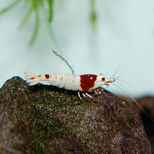 5_201410022300034e6.jpg