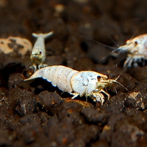 7_201409251932346f7.jpg