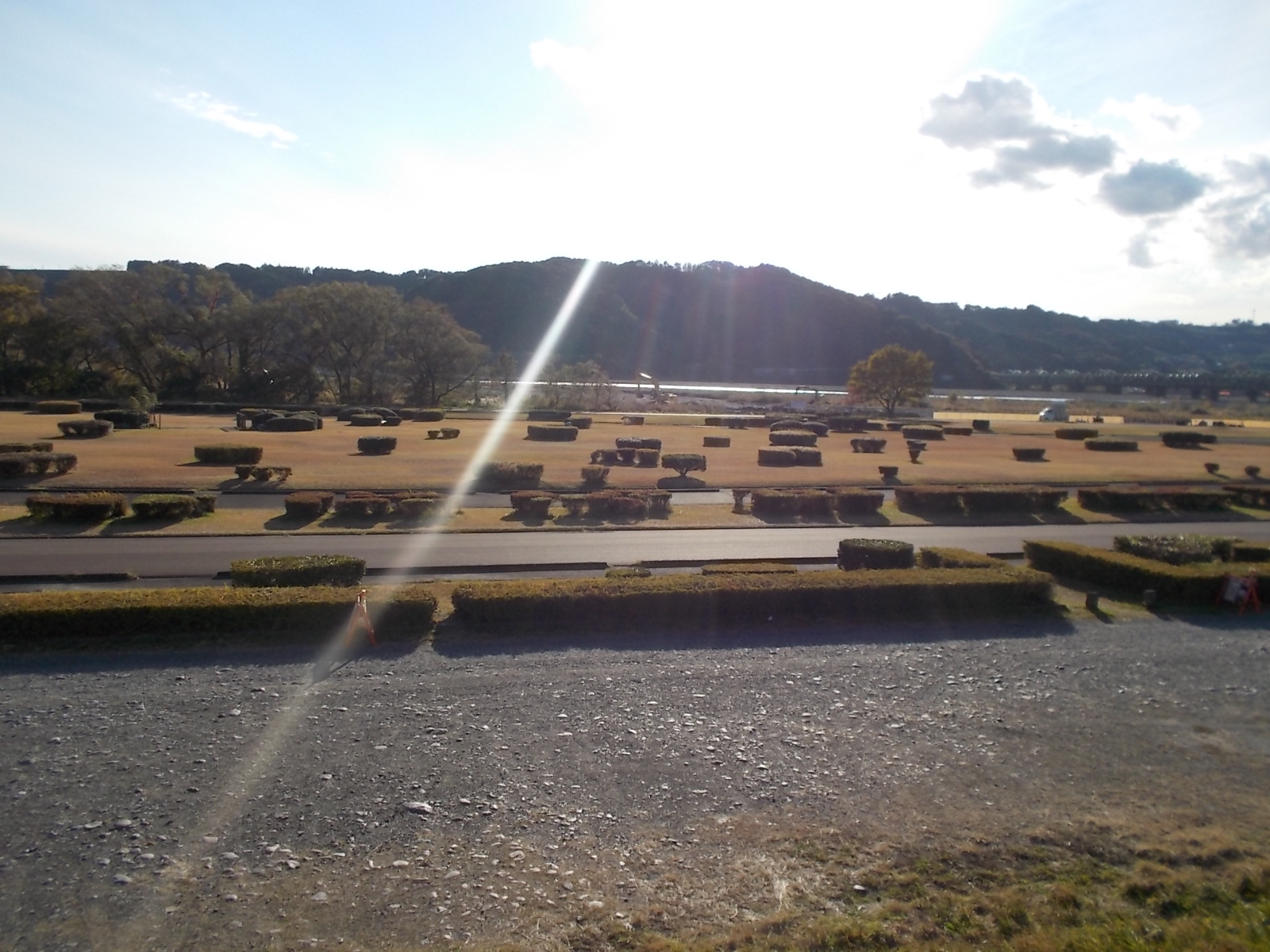 DSCN1471.jpg