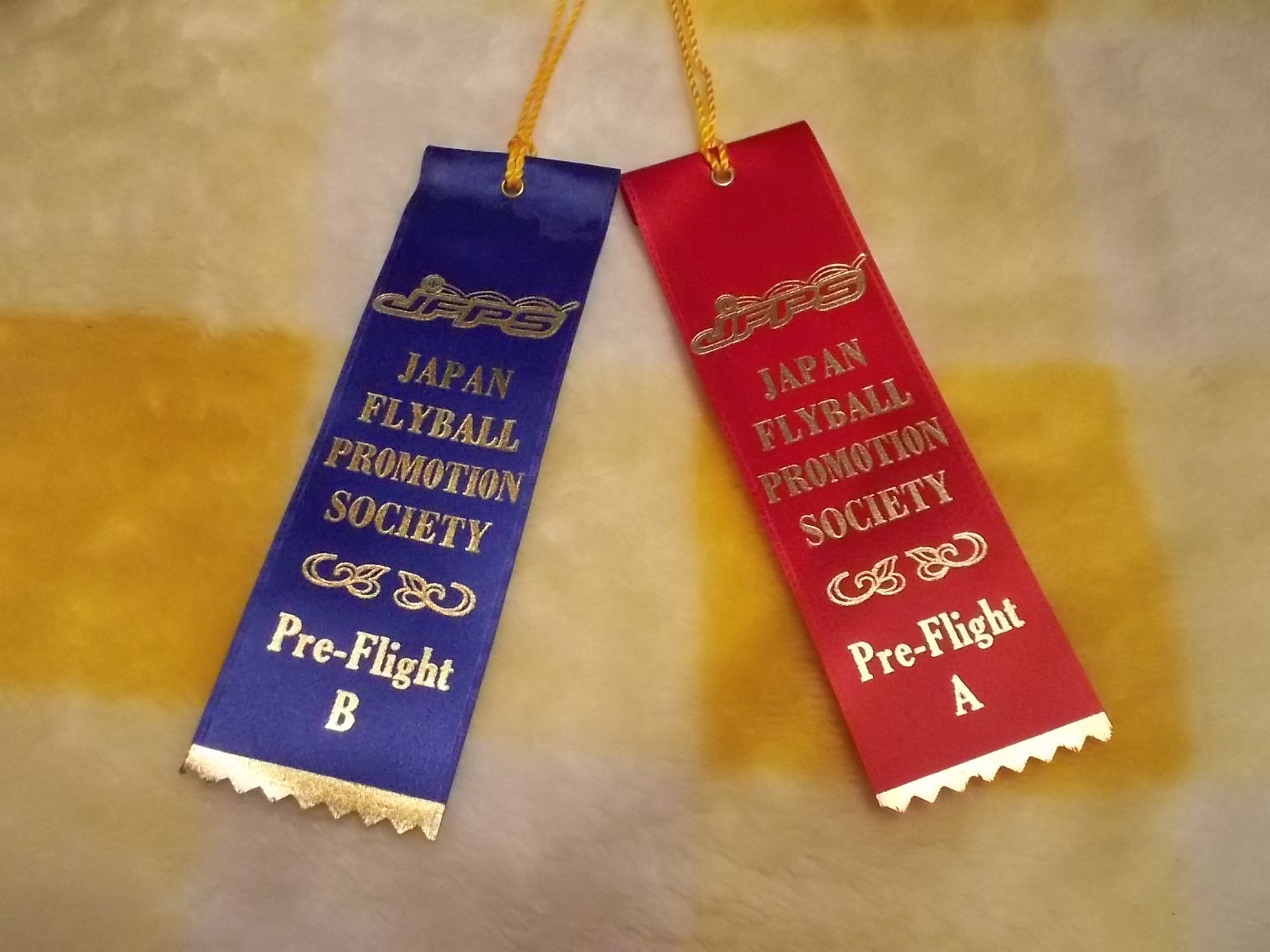 DSCN1489.jpg