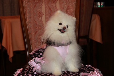 IMG_6335.jpg
