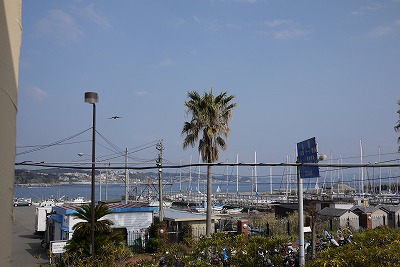 P1750834.jpg
