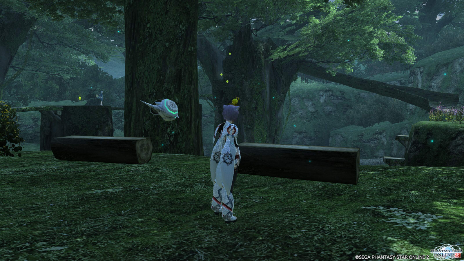 pso20130519_000426_036_01.jpg