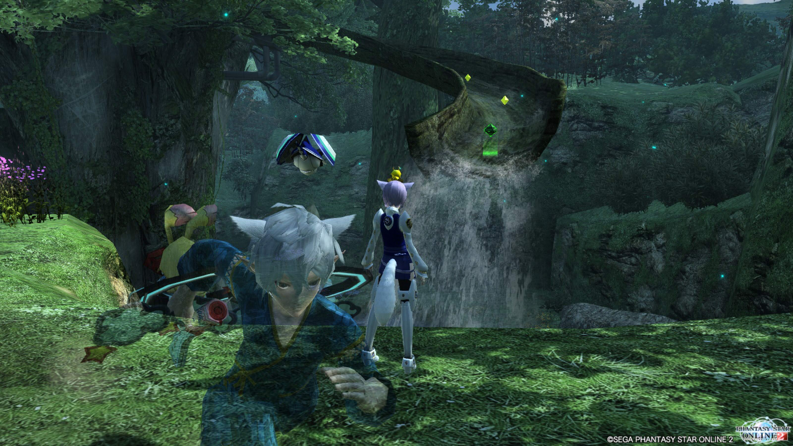 pso20130519_000454_039_01.jpg
