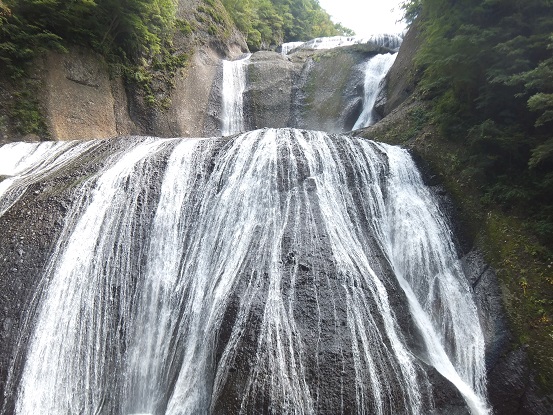 DSCF4025.jpg