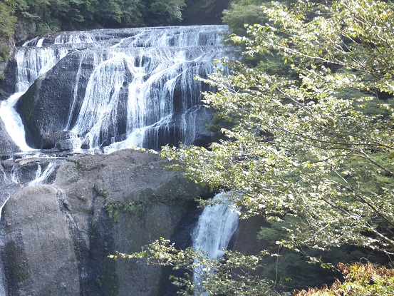 DSCF4031.jpg