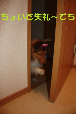 生後7ヶ月3