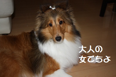生後8ヶ月
