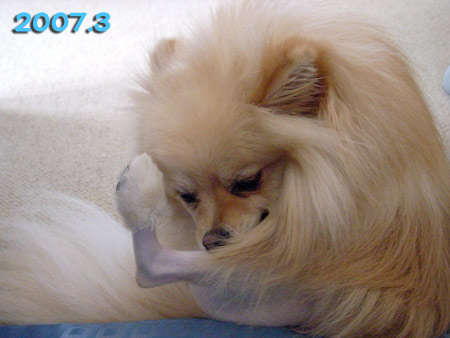 2007_3_1.jpg