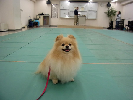20120317_1.jpg