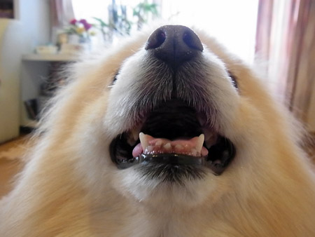 20120317_11.jpg