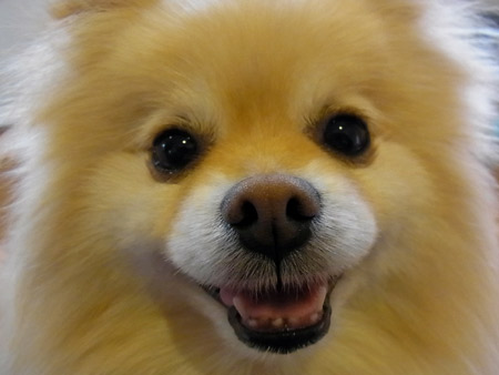 20120317_12.jpg