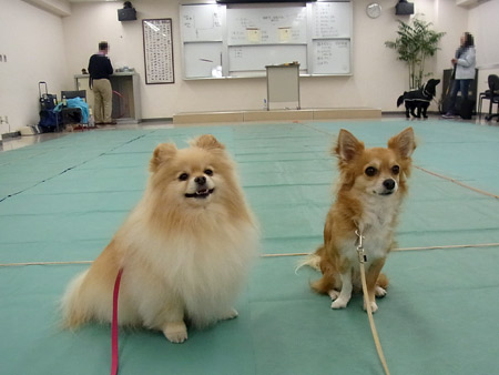 20120317_2.jpg