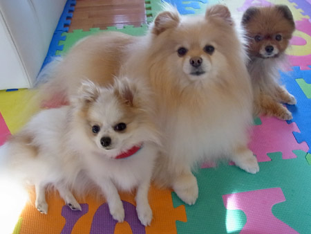 20120317_5.jpg