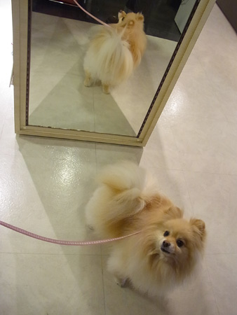 20120317_6.jpg