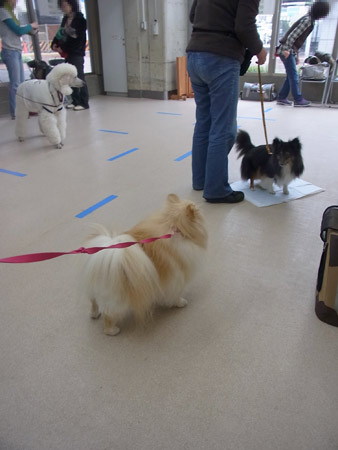 20120317_9.jpg