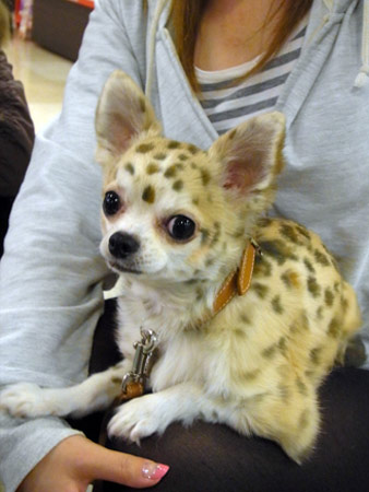 20120326_13.jpg