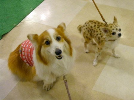 20120326_14.jpg