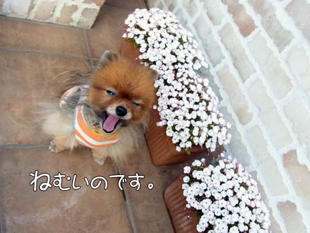 20120326_17.jpg