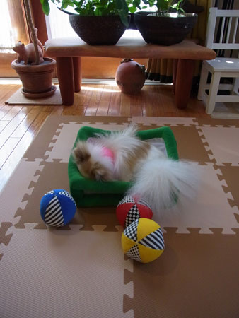 20120326_18.jpg