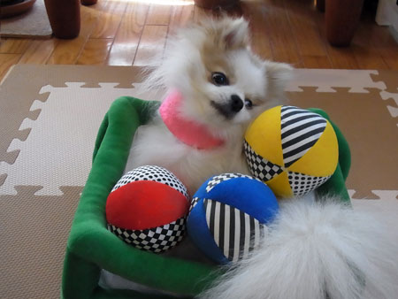20120326_19.jpg