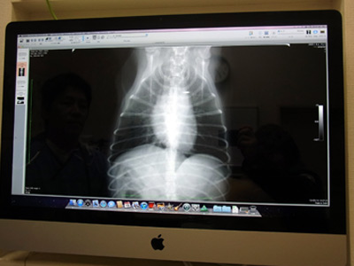 20120326_20.jpg