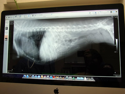 20120326_21.jpg
