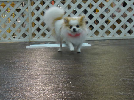 20120326_22.jpg