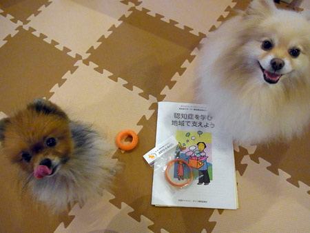20120326_7.jpg