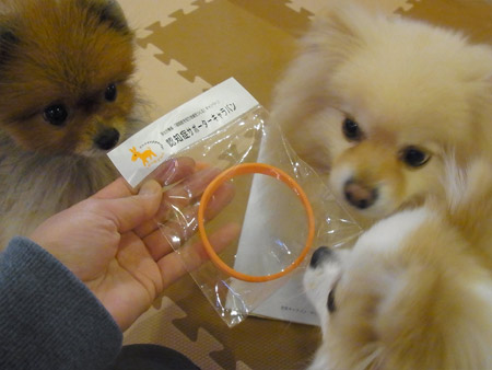20120326_8.jpg