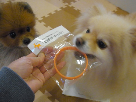 20120326_9.jpg