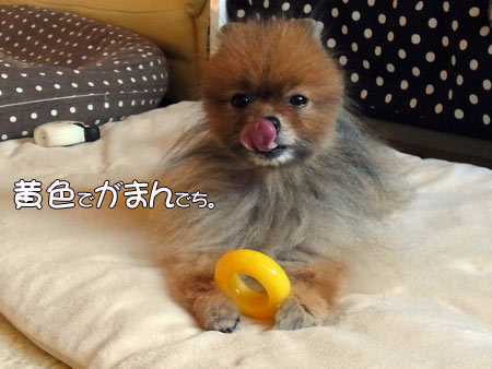 20120328_2.jpg