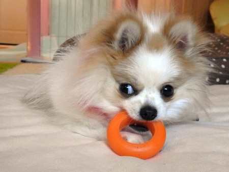 20120328_3.jpg