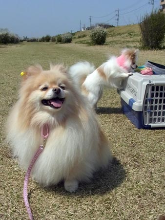 20120402_10.jpg