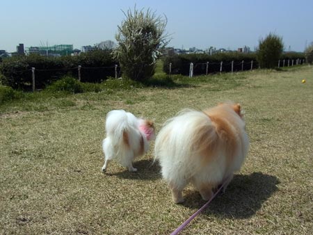 20120402_11.jpg