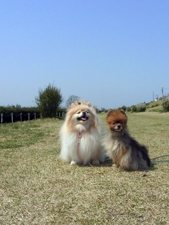 20120402_12.jpg