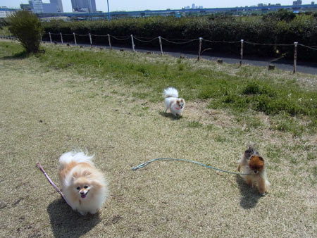 20120402_13.jpg